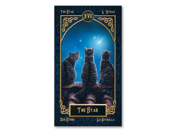 Tarot Familiars